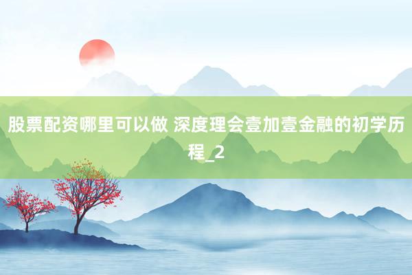 股票配资哪里可以做 深度理会壹加壹金融的初学历程_2